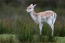 D6 Boutissaint 21-10-05 0166   Photo ACG