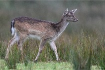 D6 Boutissaint 21-10-05 0207  01  Photo ACG