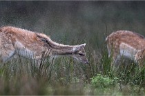 D6 Boutissaint 21-10-05 0236   Photo ACG