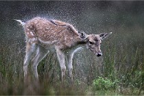 D6 Boutissaint 21-10-05 0248   Photo ACG