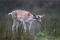 D6 Boutissaint 21-10-05 0249   Photo ACG