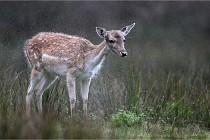 D6 Boutissaint 21-10-05 0250   Photo ACG