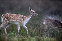 D6 Boutissaint 21-10-05 0254   Photo ACG