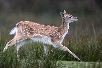 D6 Boutissaint 21-10-05 0263   Photo ACG