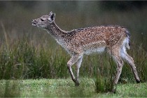 D6 Boutissaint 21-10-05 0289   Photo ACG