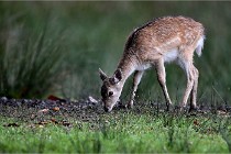 D6 Boutissaint 21-10-05 0297   Photo ACG