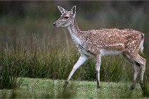 D6 Boutissaint 21-10-05 0304   Photo ACG