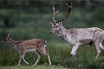 D6 Boutissaint 21-10-05 0333   Photo ACG