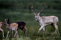 D6 Boutissaint 21-10-05 0337   Photo ACG