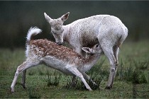 D6 Boutissaint 21-10-05 0399   Photo ACG