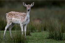 D6 Boutissaint 21-10-05 0424   Photo ACG