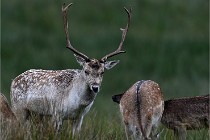 D6 Boutissaint 21-10-05 0468   Photo ACG