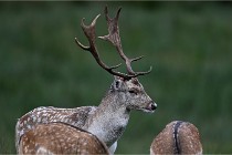 D6 Boutissaint 21-10-05 0473   Photo ACG