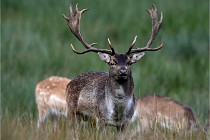 D6 Boutissaint 21-10-05 0476   Photo ACG