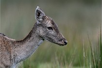 D6 Boutissaint 21-10-05 0498   Photo ACG