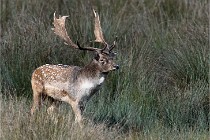 D6 Boutissaint 21-10-05 0776   Photo ACG