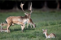 D6 Boutissaint 21-10-05 1252   Photo ACG