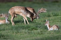 D6 Boutissaint 21-10-05 1253   Photo ACG