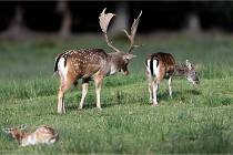 D6 Boutissaint 21-10-05 1255   Photo ACG