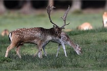 D6 Boutissaint 21-10-05 1311   Photo ACG