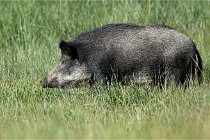 D6 Boutissaint 21-10-05 0945   Photo ACG