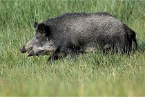 D6 Boutissaint 21-10-05 0948   Photo ACG