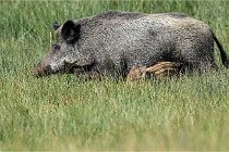 D6 Boutissaint 21-10-05 1031   Photo ACG