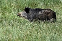 D6 Boutissaint 21-10-05 1037   Photo ACG