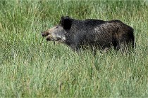 D6 Boutissaint 21-10-05 1038   Photo ACG