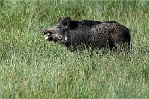 D6 Boutissaint 21-10-05 1041   Photo ACG