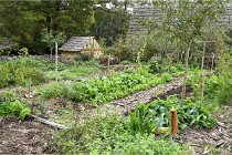 D500 Guedelon 21-10-07 3843   Photos ACG 2021