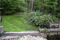 D500 Guedelon 21-10-07 3905   Photos ACG 2021