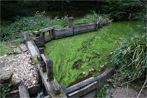 D500 Guedelon 21-10-07 3908   Photos ACG 2021
