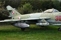 D500 Orange 21-10-13 1027   Photos ACG 2021