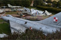 D500 Orange 21-10-13 1044   Photos ACG 2021