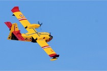 D500 Orange 21-10-15 3341   Photos ACG 2021