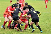 D6 Rugby Pontoise 21-10-31 0055   Photo ACG