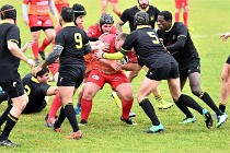 D6 Rugby Pontoise 21-10-31 0057   Photo ACG