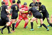 D6 Rugby Pontoise 21-10-31 0059   Photo ACG