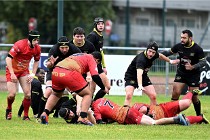 D6 Rugby Pontoise 21-10-31 0106   Photo ACG