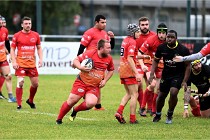 D6 Rugby Pontoise 21-10-31 0140   Photo ACG