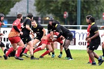D6 Rugby Pontoise 21-10-31 0209   Photo ACG