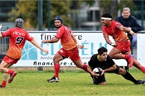 D6 Rugby Pontoise 21-10-31 0218   Photo ACG