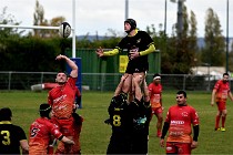 D6 Rugby Pontoise 21-10-31 0271   Photo ACG