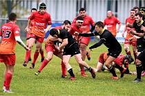 D6 Rugby Pontoise 21-10-31 0331   Photo ACG