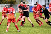 D6 Rugby Pontoise 21-10-31 0337   Photo ACG