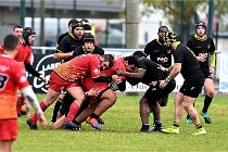 D6 Rugby Pontoise 21-10-31 0366   Photo ACG