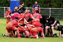 D6 Rugby Pontoise 21-10-31 0398   Photo ACG