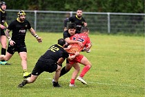 D6 Rugby Pontoise 21-10-31 0418   Photo ACG