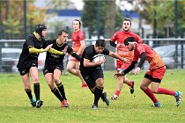 D6 Rugby Pontoise 21-10-31 0468   Photo ACG